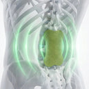 Parches Naturales de Uso Tópico