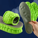 Plantillas  Deportivas 4D 4